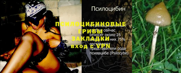 ешки Абаза